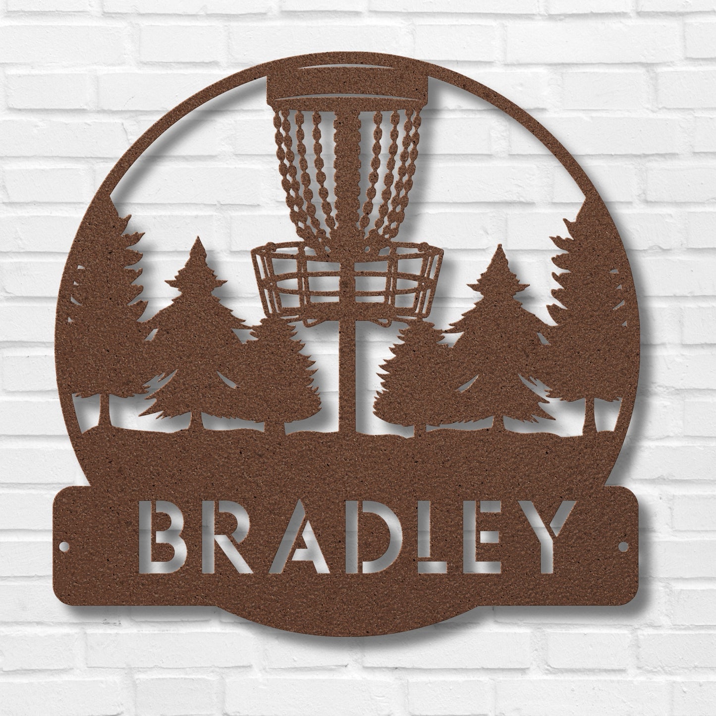 Personalized Disc Golf Metal Wall Sign